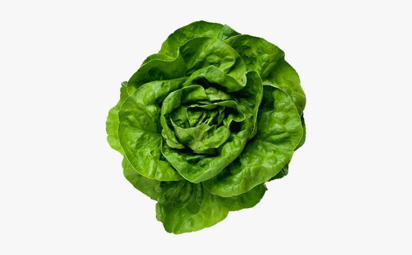 Butter Leaf - Green Leafy Vegetables Png, transparent png download