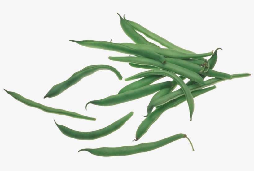 Green Beans - Green Pea, transparent png download