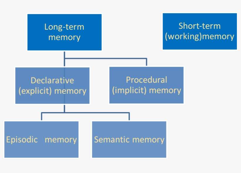 Memory Chart - Colorfulness PNG Image | Transparent PNG Free Download ...