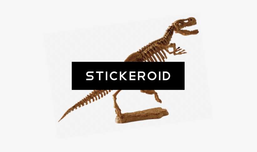 T-rex Fossil - Tyrannosaurus, transparent png download