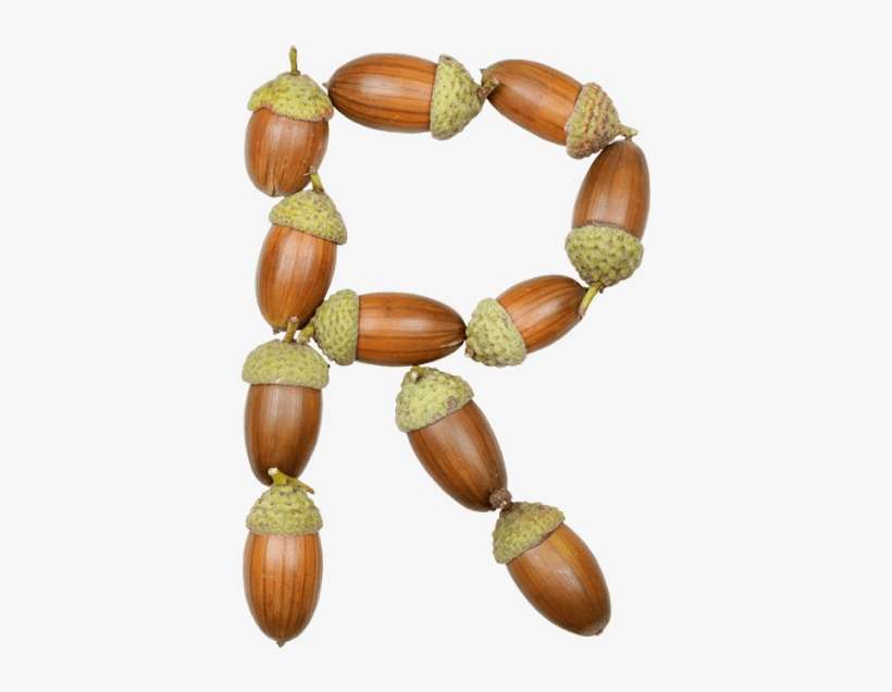 Make Green Designs With Handmade Font - Necklace, transparent png download