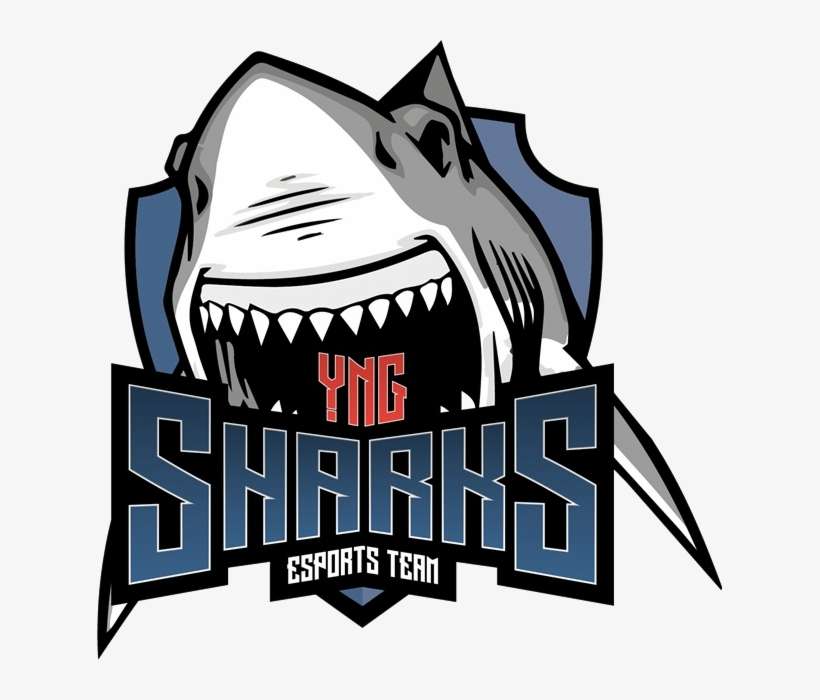 1 - 2 - - Sharks Csgo, transparent png download