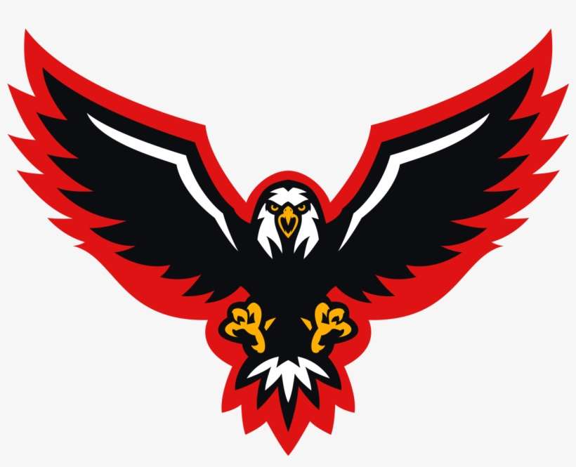 Eaglegarrett [fl0k] - Bald Eagle, transparent png download