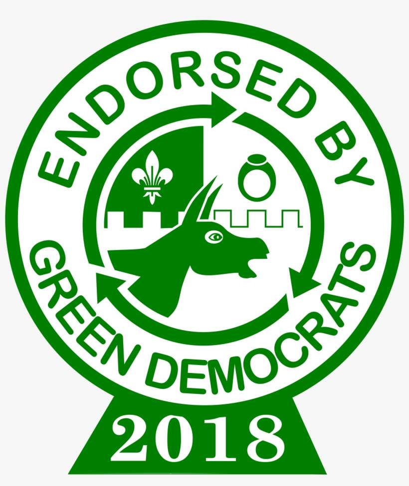 Green Dems 2018 Endorsement High-res Color - Rock Band Guitar Icon, transparent png download