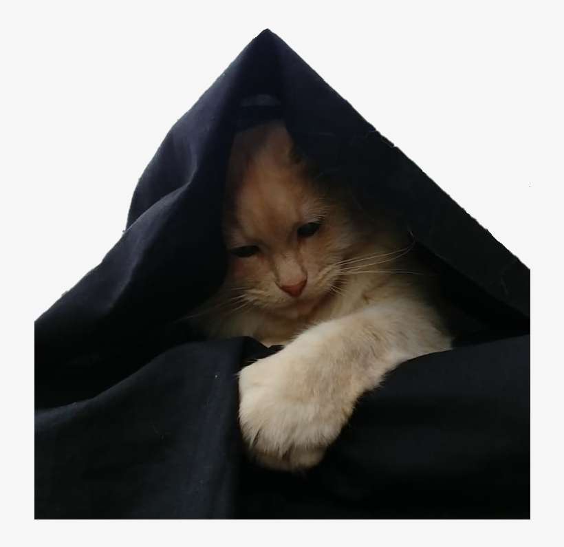 1 Reply 1 Retweet 3 Likes - Asian, transparent png download