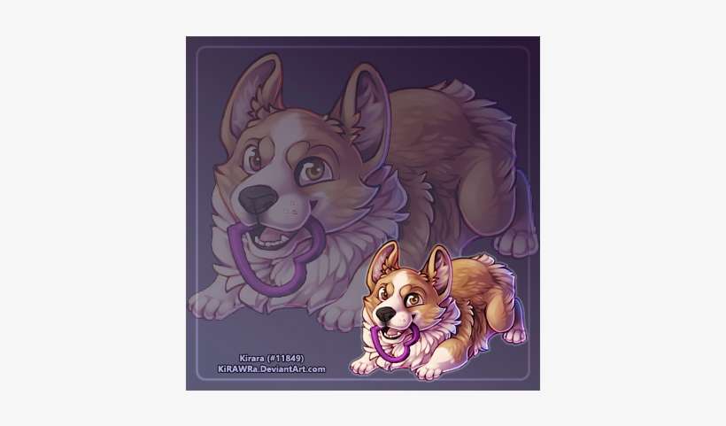 Koaf Corgi - Pembroke Welsh Corgi, transparent png download