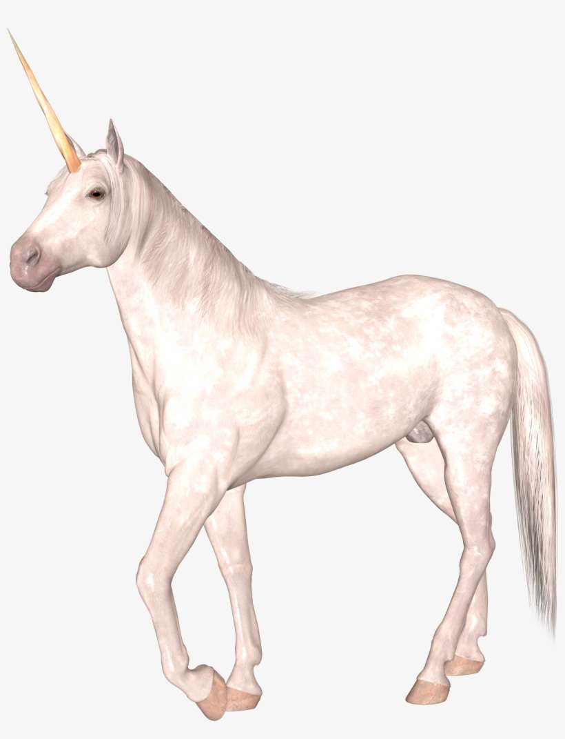 Unicorn, transparent png download