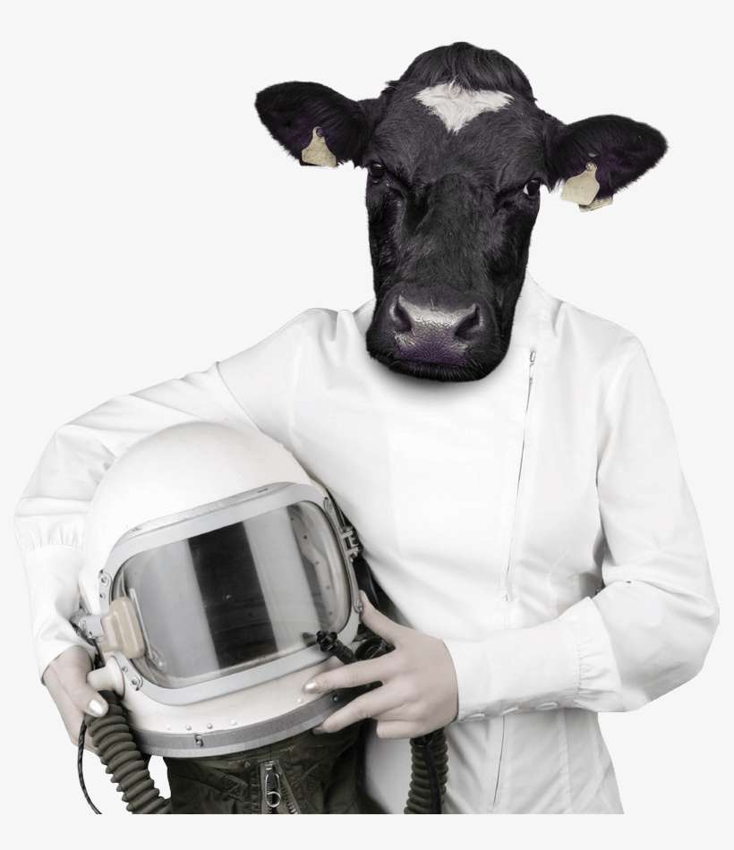 Stock Photography, transparent png download