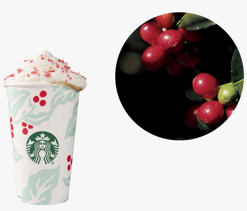 Starbucks - Flora - Starbucks New Logo 2011, transparent png download