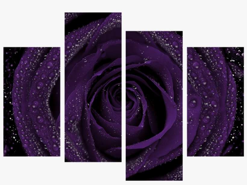 Item Specifics - Dark 5 Panel Canvas, transparent png download