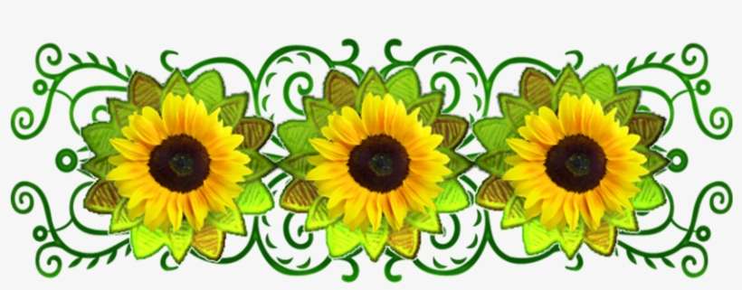 B *✿*sunflower - Sunflower, transparent png download