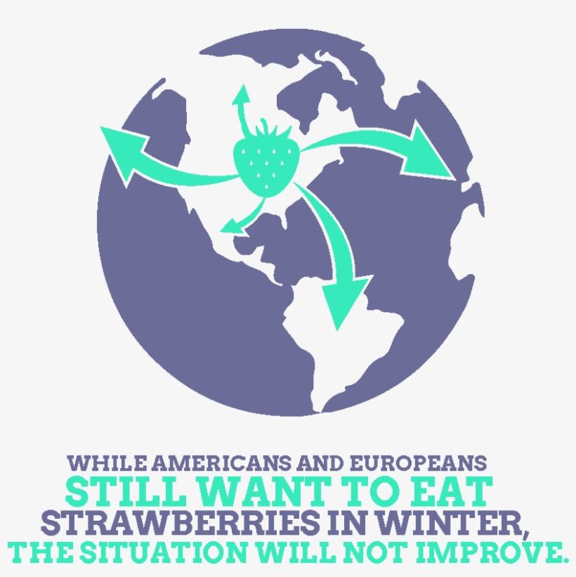 Dataviz Alimentaire English 15 - Portable Network Graphics, transparent png download