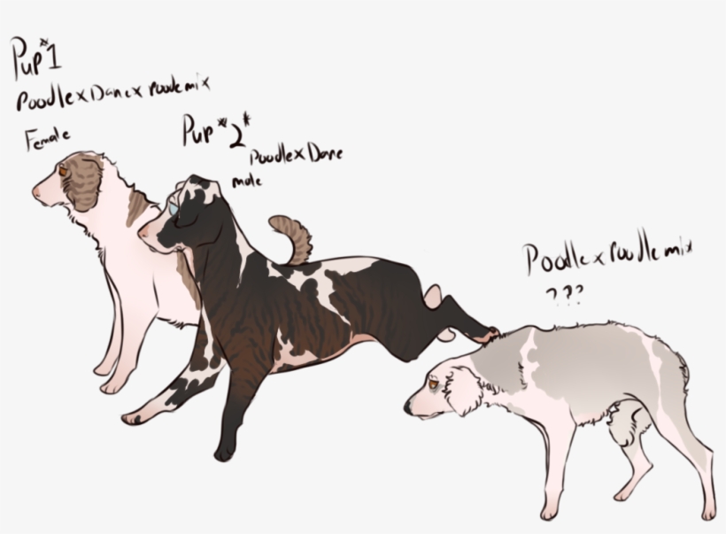 Gabe And Gutter Pups - Cartoon, transparent png download