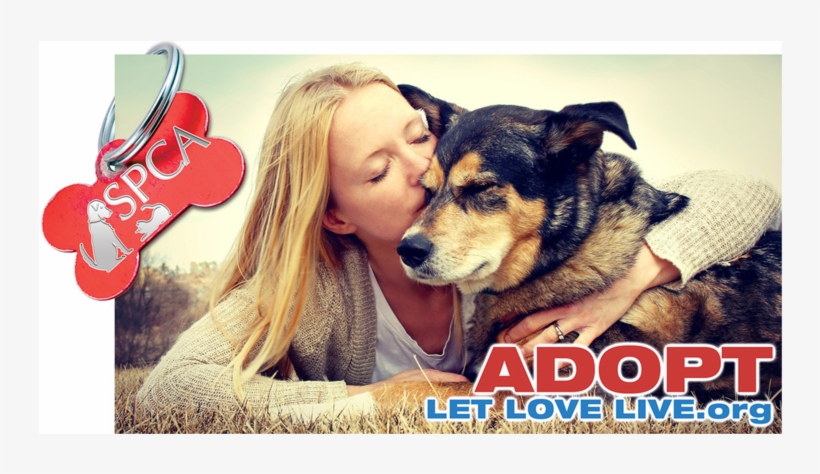 Spca01 - Dog Is Our Best Friend, transparent png download