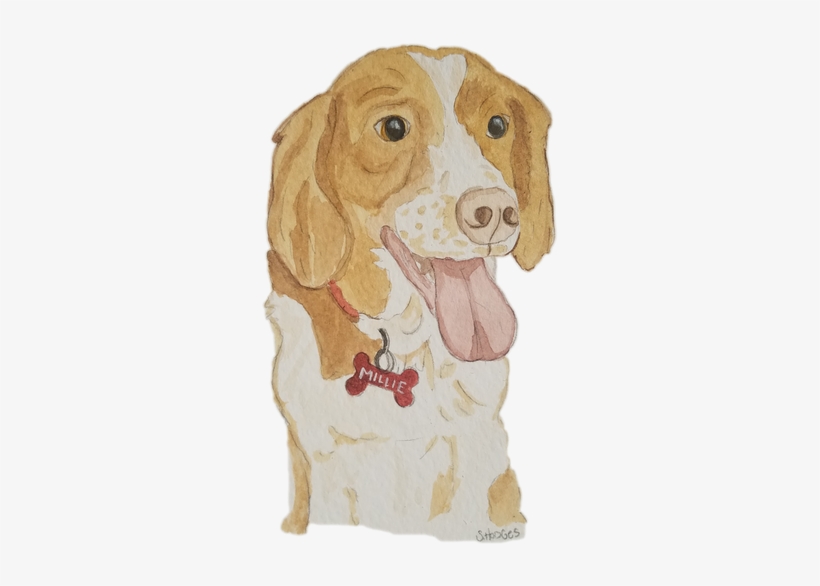 Harrier, transparent png download