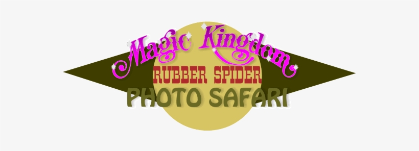 But From The Disneyland Haunted Mansion To The Magic - Dirty Dan, transparent png download