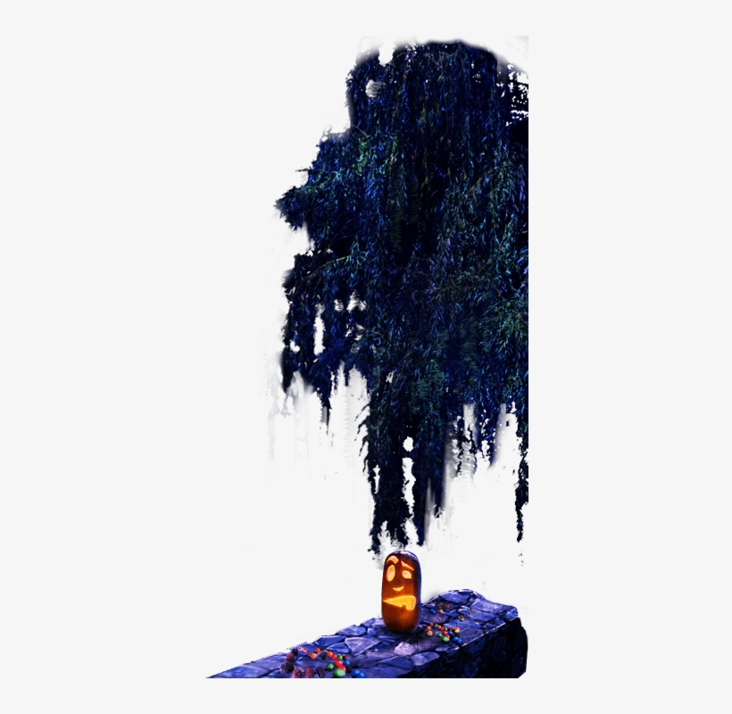 See More - Whisky, transparent png download
