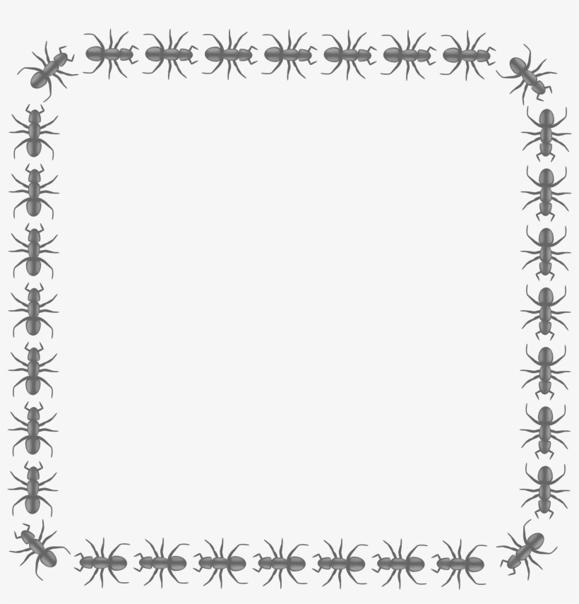 Thanksgiving Border Images - Insect Body Parts Song, transparent png download