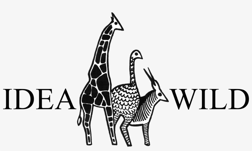 Idea Wild Logo Can Be Found Below As Jpeg, Gif Or Png - Idea Wild, transparent png download