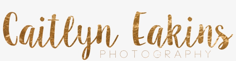Caitlyn Eakins Photography - Calligraphy, transparent png download