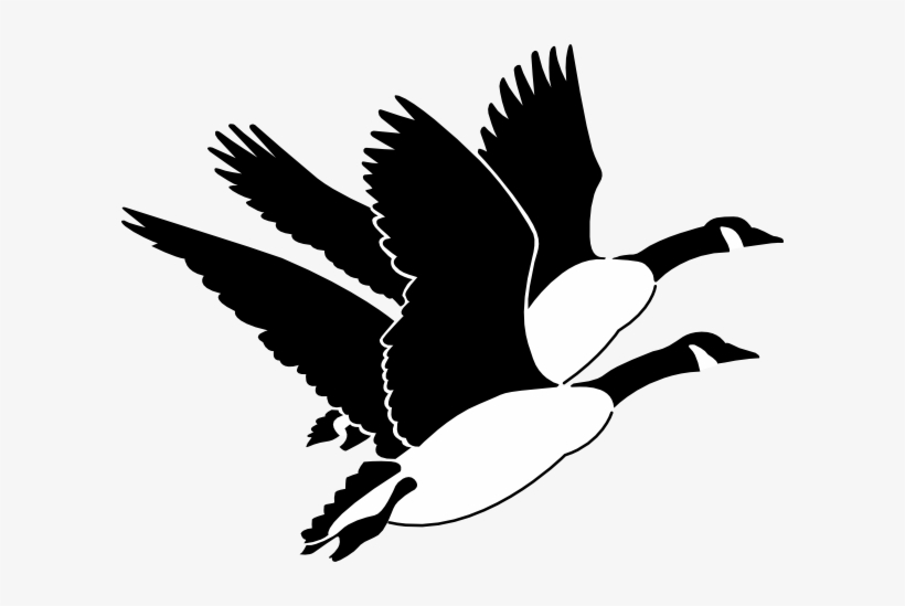 Hunter Vector Bird - Geese Clip Art, transparent png download