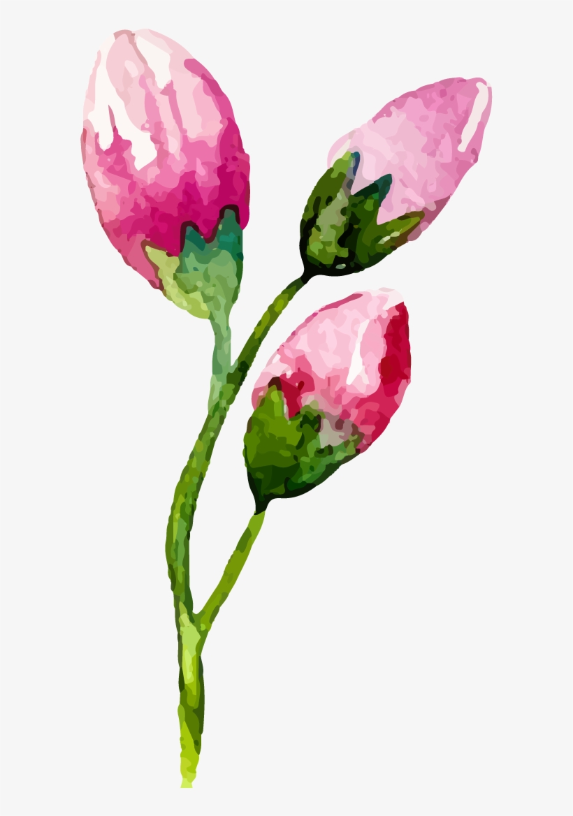 Leggings La Moda, transparent png download