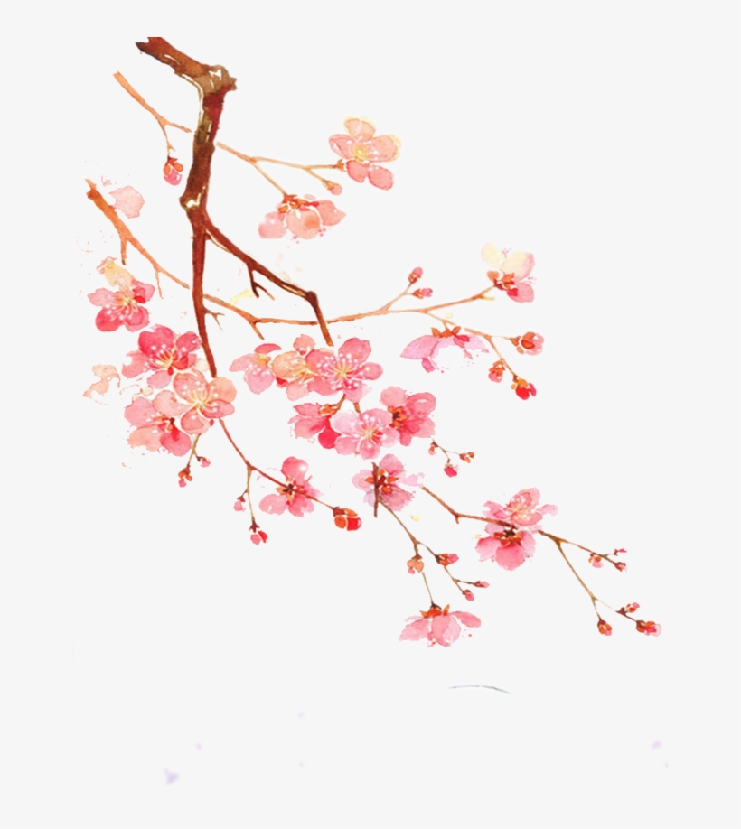 Pin By Kiera Green On Cover - Flor Ameixa Png, transparent png download