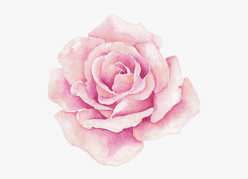 Фото, Автор ✿lili@ ✿ На Яндекс - Watercolor Rosa Flores Png, transparent png download