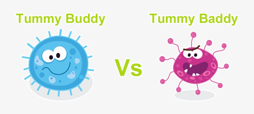 Bacteria Clipart Harmful Bacteria - Good Bacteria Vs Bad Bacteria Clipart, transparent png download