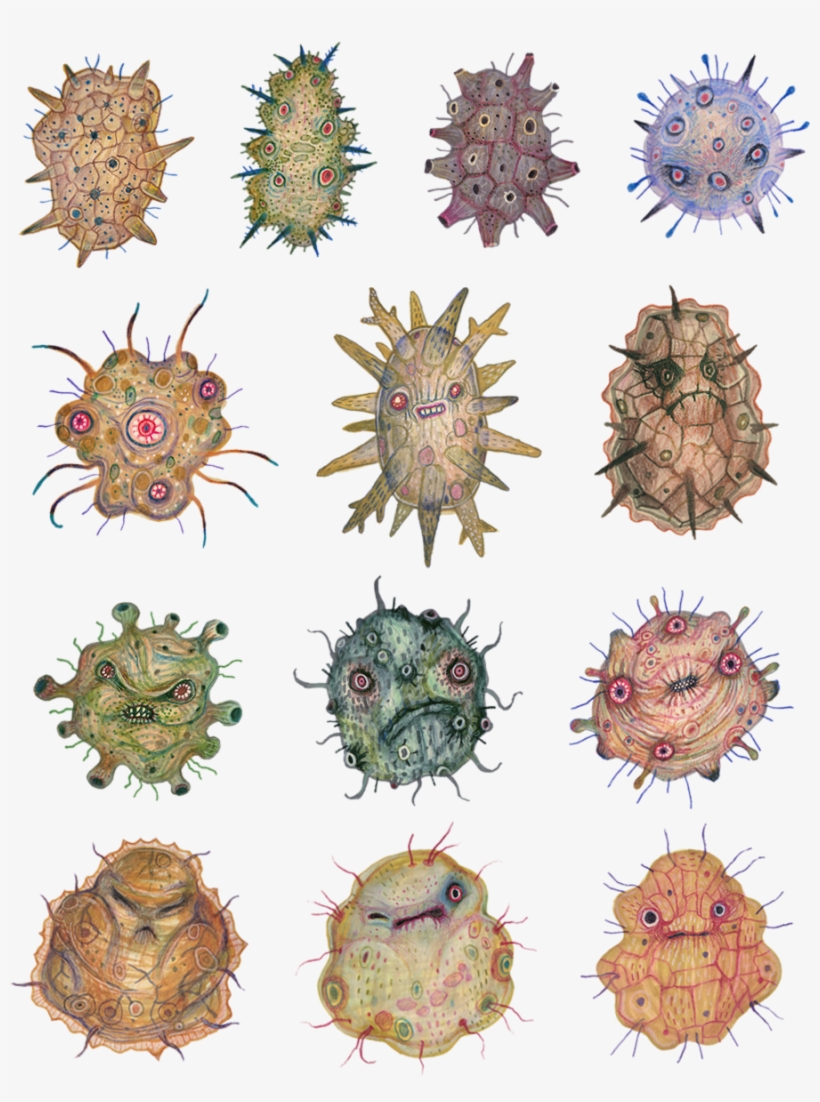 Cells, Bacteria, Microorganisms, Fungi, Viruses, Watercolour - Illustration, transparent png download