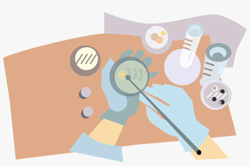 Vector Graphics Of Microbiologist Putting Bacteria - Agar Plate Clipart, transparent png download