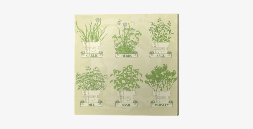 Herbs In Pot Garlic Parsley Dill And - Recipe Journal: Blank Recipe Book, transparent png download