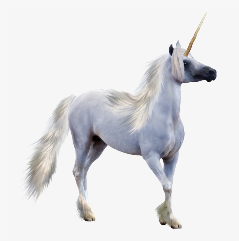 Unicorn Transparent - Unicorn, transparent png download