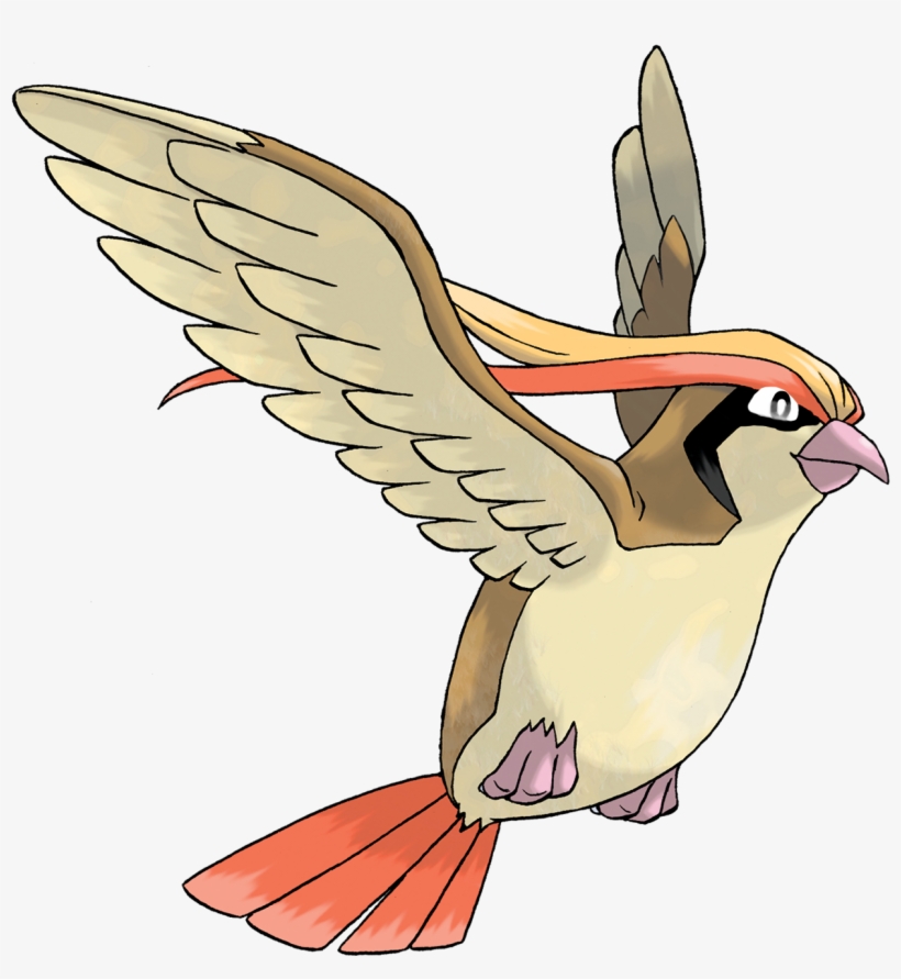 Pidgeot - Pokemon Pidgeot, transparent png download
