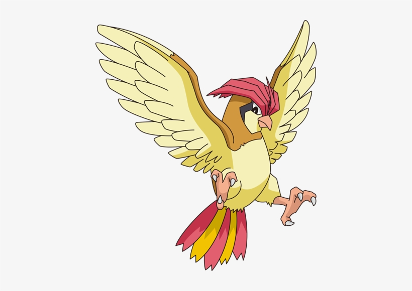 0 Yorum - Pidgeotto Transparent, transparent png download