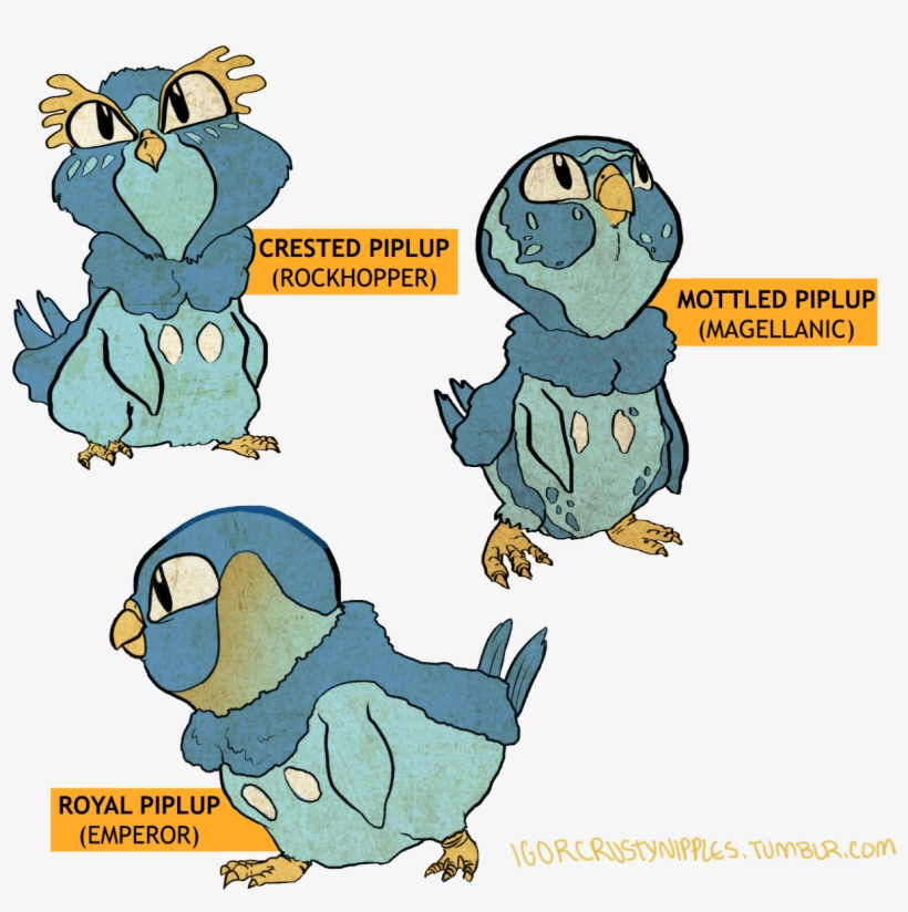 Have Some Fat Penguin Species - Piplup Variants, transparent png download