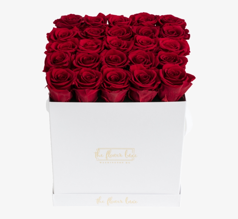 De Luxe Infinity Square White Box- Last One Year - Garden Roses, transparent png download