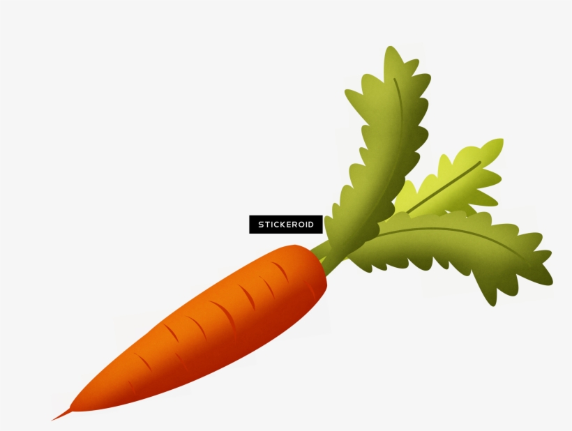 Carrot - Png Carrot, transparent png download