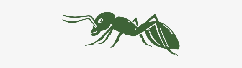 Ant - Art Print: Pop Ink - Csa Images' Close Up Of Ant, 61x41cm., transparent png download