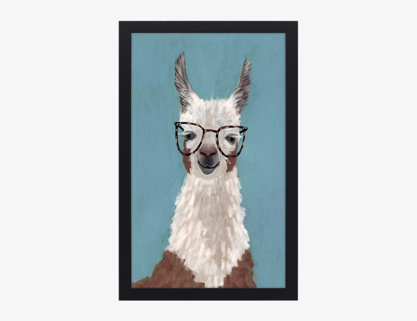Llama Specs I - Canvas Print, transparent png download