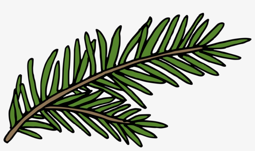 A Hand Painted Green Fern Winter Transparent Decorative - Green, transparent png download