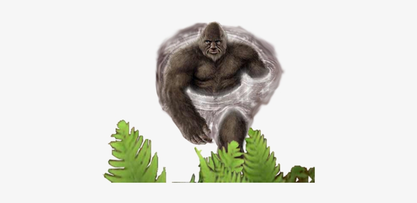 Copy Discord Cmd - Sasquatch People And Their Interdimensional Connection, transparent png download