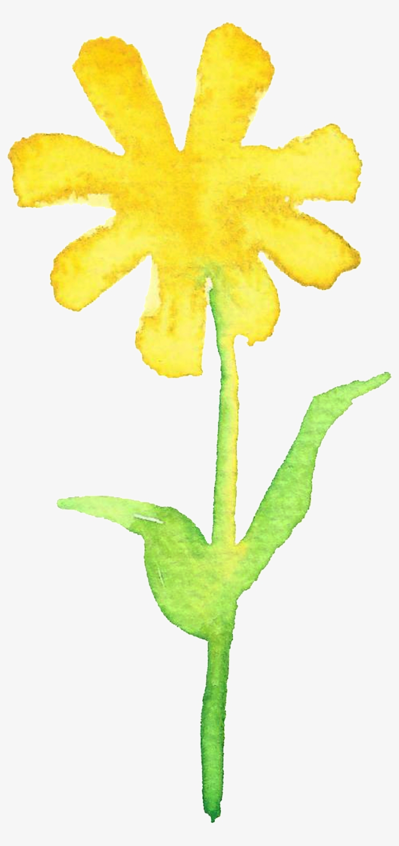 Transparent Ornamental For The Branches Of Yellow And - Watercolor Painting, transparent png download