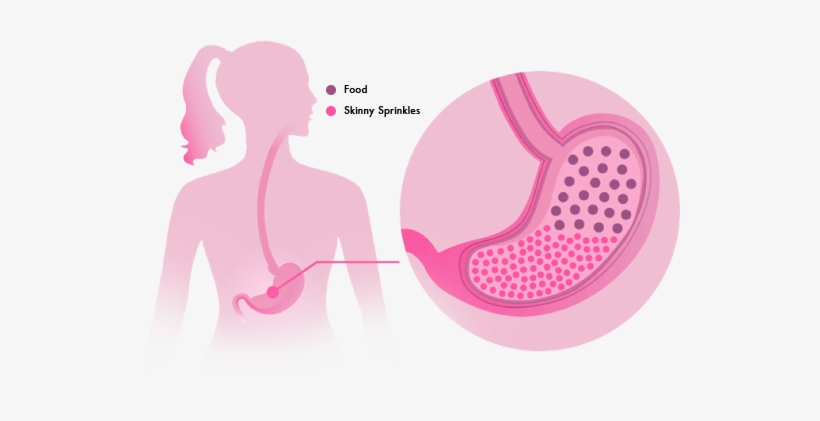 Feeling Hungry Can Be One Of The Biggest Challenges - Illustration, transparent png download