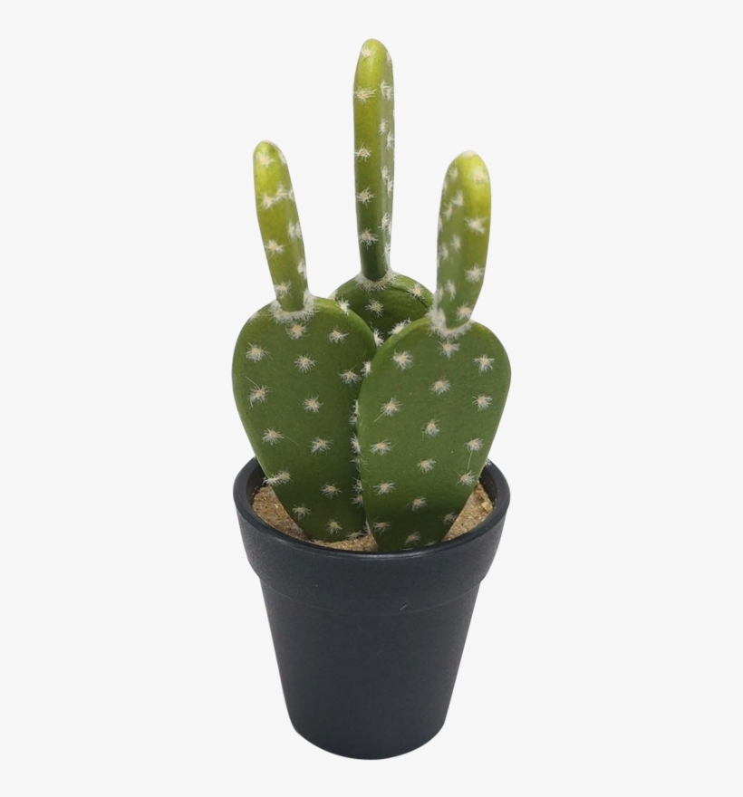 Bidkhome Prickly Pear Cactus Faux Plant In Pot (set, transparent png download