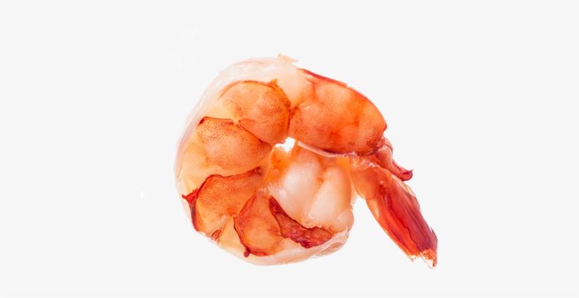 our extensive range of prawn and shrimp include 4 pics 1 word cheats daily challenge india png image transparent png free download on seekpng 4 pics 1 word cheats daily challenge