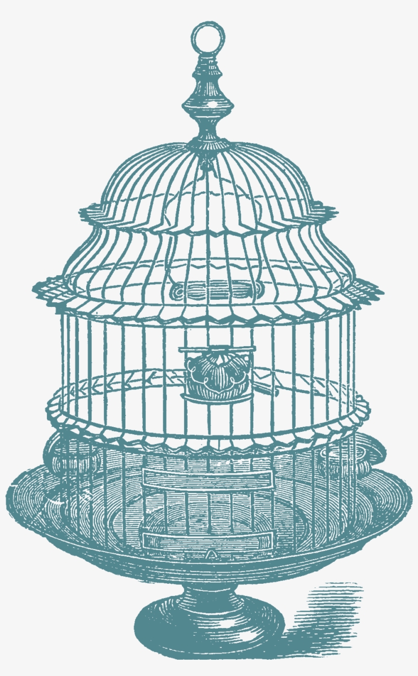 Jpeg - Birdcage Vintage Png, transparent png download
