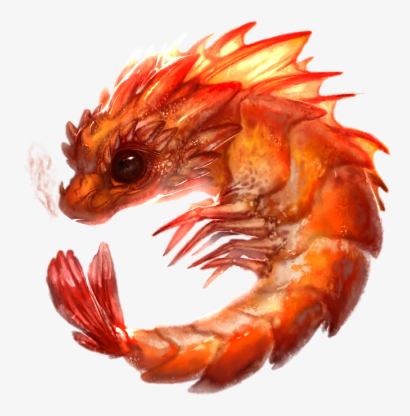 Shrimp Png Image Background - Furry Shrimp, transparent png download