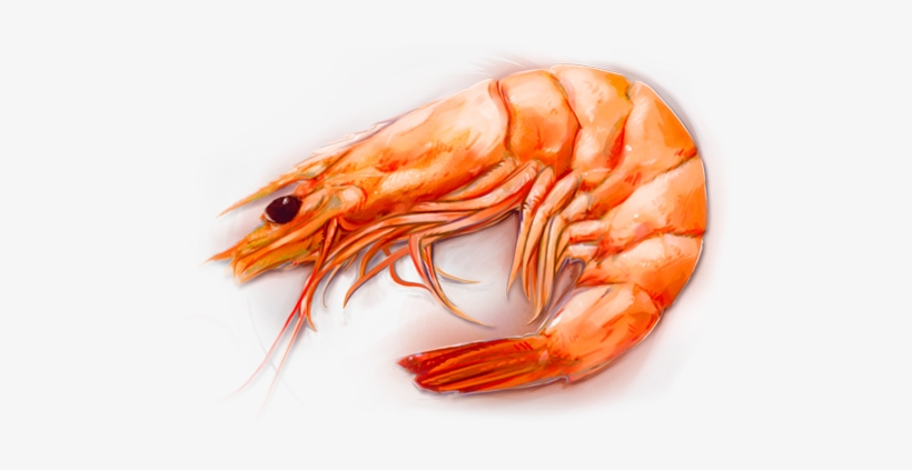 Shrimp Head Png, transparent png download