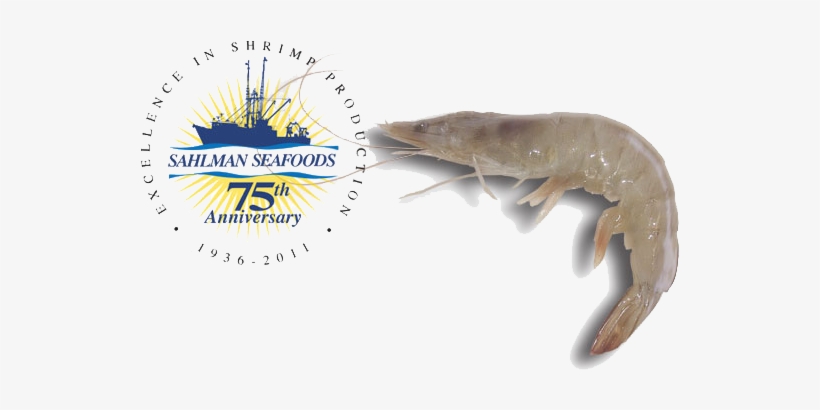 We Are A Fully Integrated Production Company That Farms, - Shrimp, transparent png download